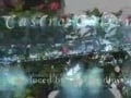 Castro solo