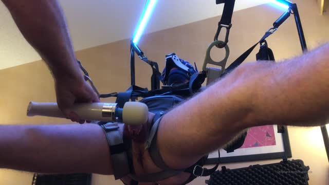 Pup Cums in Chastity