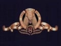 muscle