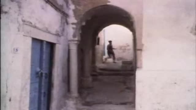 Cadinot Harem 1984 