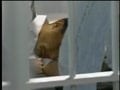 in jail