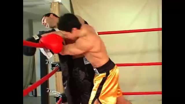 Sexy boxing