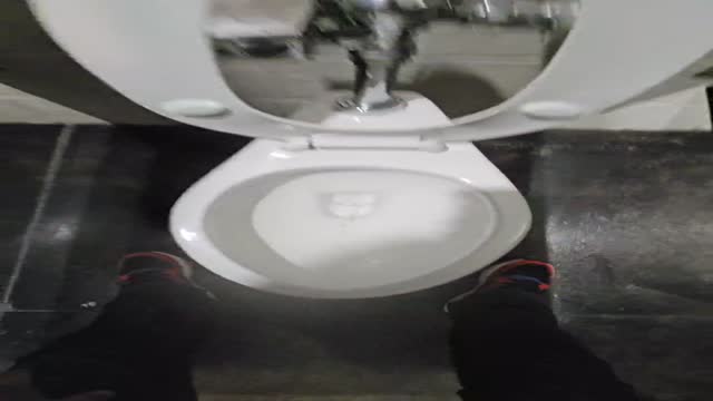 Hung dude's park mens room   & stroke