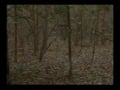 Outdoor slugfest - Meadlock vs Drake