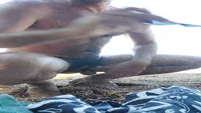 Hot Spaniard's Swim and Stroke