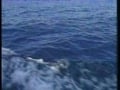 sex on the boat
