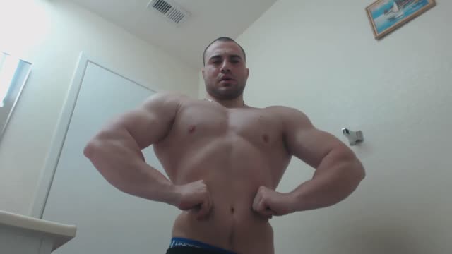 muscle