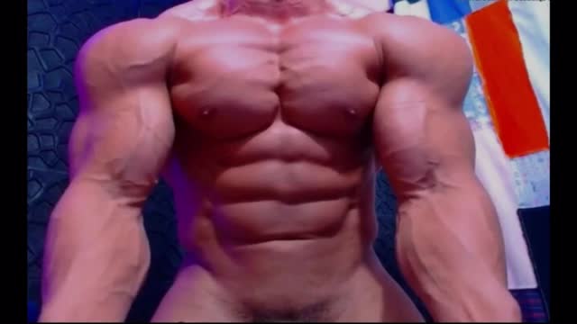 muscle bull