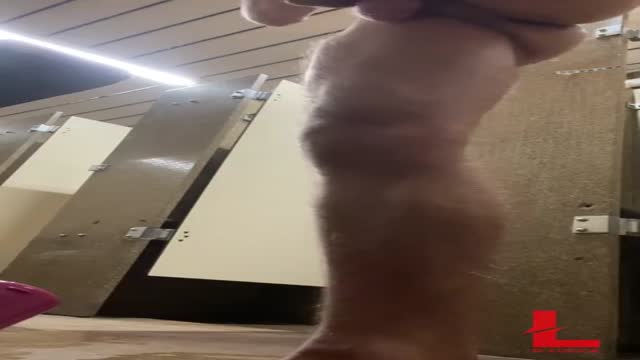Fit daddy risky fuck at a public bathroom