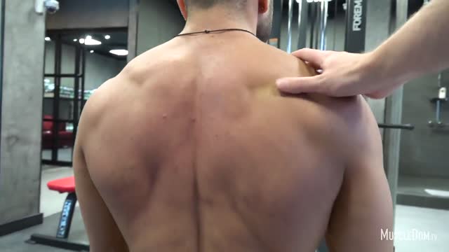 Muscles & Gym