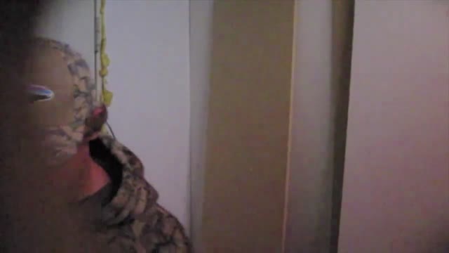 Video preview