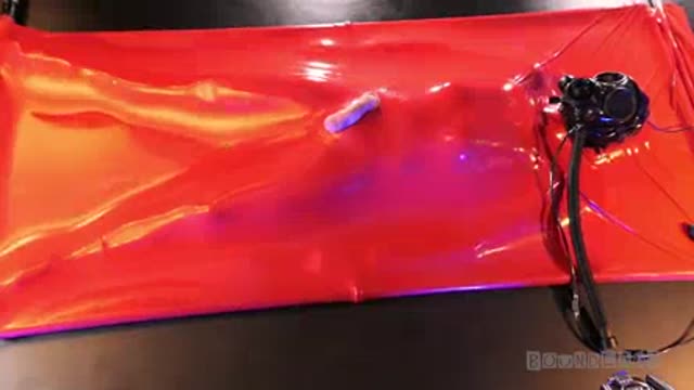 Red vac bed