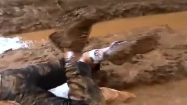 Chavs scallies wrestling in mud fucking 