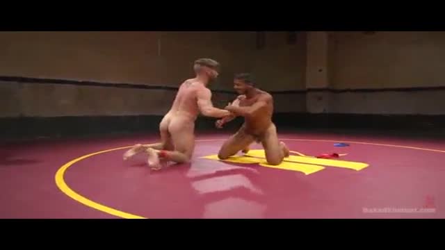 Ginger's Fun