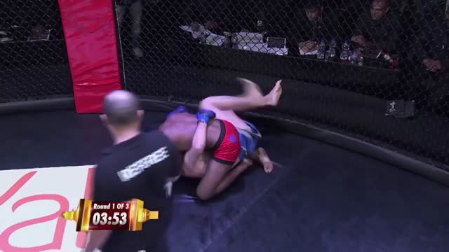 mma fight