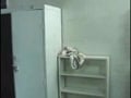 Locos