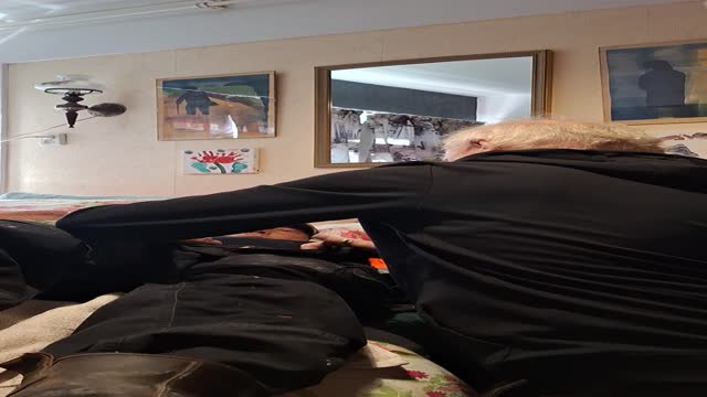 roadworker hank gets sucked by old horny man