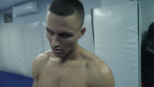 mixed fighting