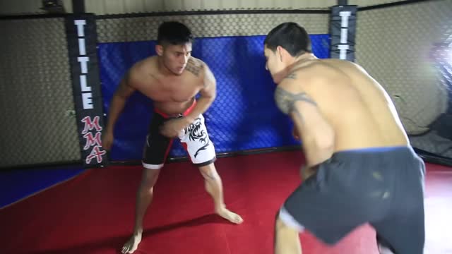 wrestling