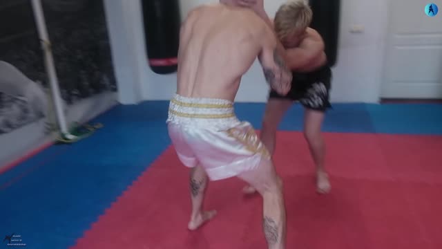 mortal kombat wrestling