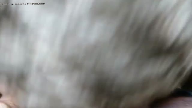 Sucking big cock 