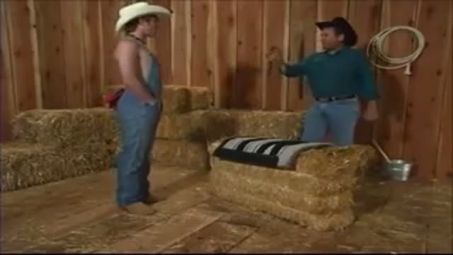 barn ass burn