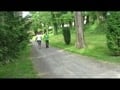 Public Fuck