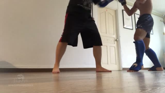 kickboxing domination