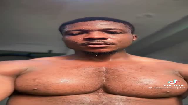 african pec bounce