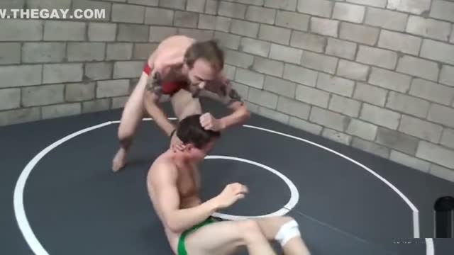 Quinn Harper vs Shane Saunders