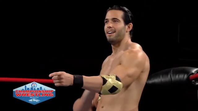 Hunk Wrestler defeated