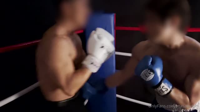 japanese gutpunch