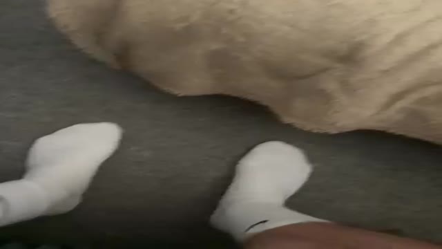 Ph
