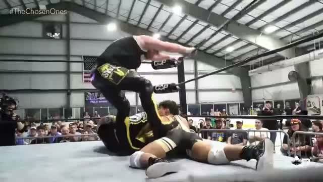 Anthony Vecchio  jobber