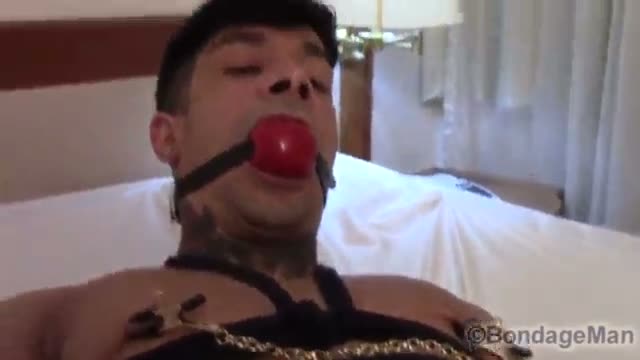 hogtied