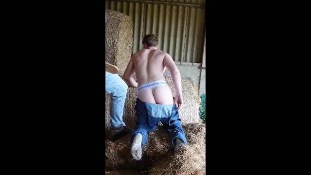 Paddled in the barn