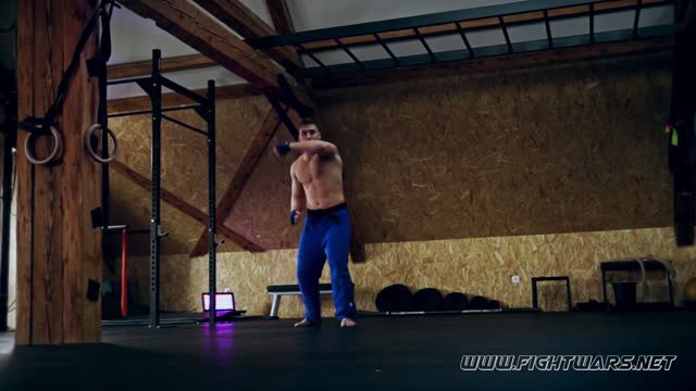 muscle