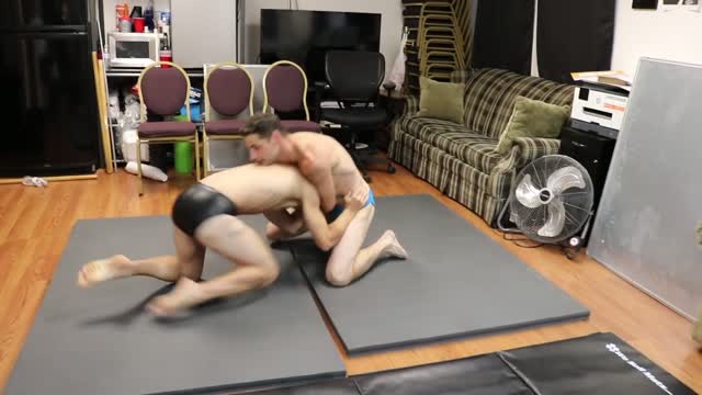 Reno vs Wolf