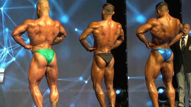 bodybuilder