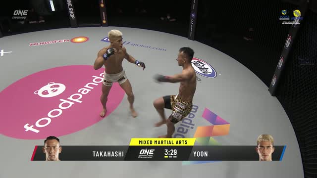 MMA