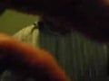 blowjob