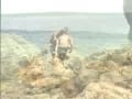 Hot threesome on the beach