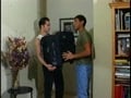 While the Cat\'s Away Scene 2