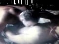 Barn Fuck