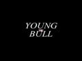 YOUNG BULL