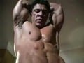 vascular muscle