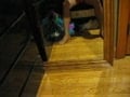 college jerk off