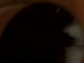 Gloryhole suck