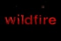 Wildfire