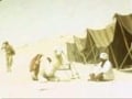 arabssss